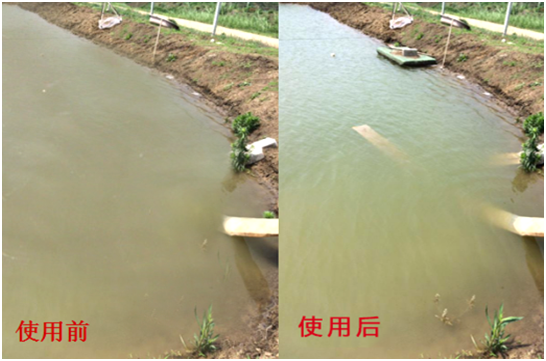 渾濁水、對(duì)蝦吃料差怎么處理？